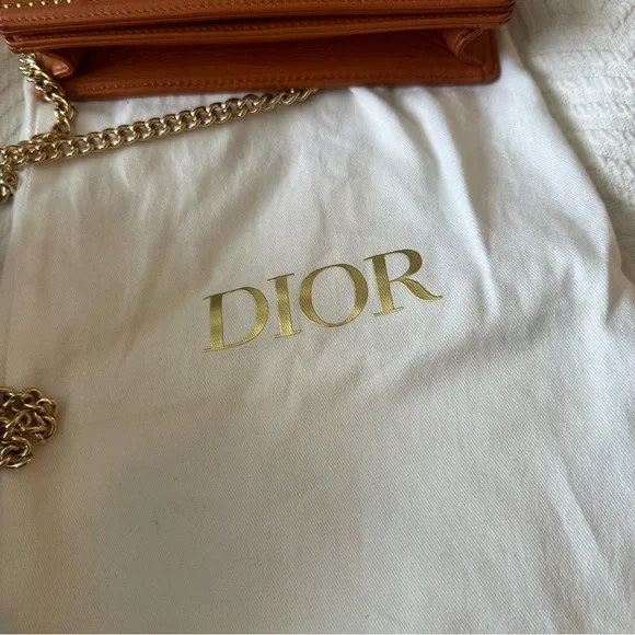 Diorama Studded Mini Bag - Picture 13 of 15